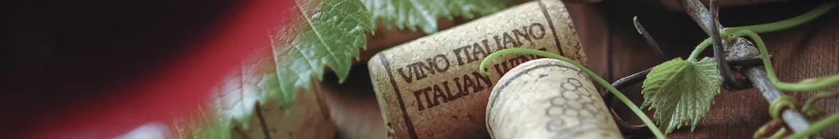 Italian wine cork closeup